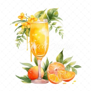 20 High-Quality Mimosa Cocktail Clipart - Mimosa cocktail digital watercolor JPG instant download for commercial use - Digital download