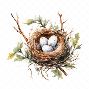 20 High-Quality Bird Nest Clipart - Bird nest digital watercolor JPG instant download for commercial use - Digital download