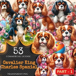Cavalier King Charles Spaniel PNG Clipart Collection - 53 PNG, Charming dog illustrations, Spaniel art, Commercial use, Digital download