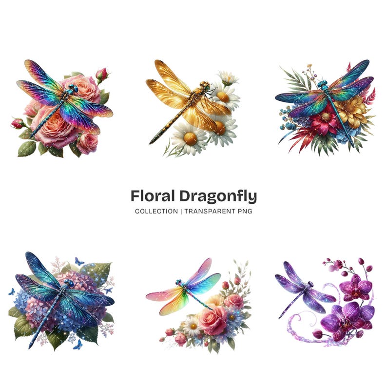 Floral Dragonfly PNG Clipart Collection – 63 Colorful Insect Graphics ...