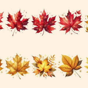 Autumn Leaves PNG Clipart Collection - 52 PNG, Warm seasonal foliage graphics, Autumn leaves art, Commercial use, Digital download