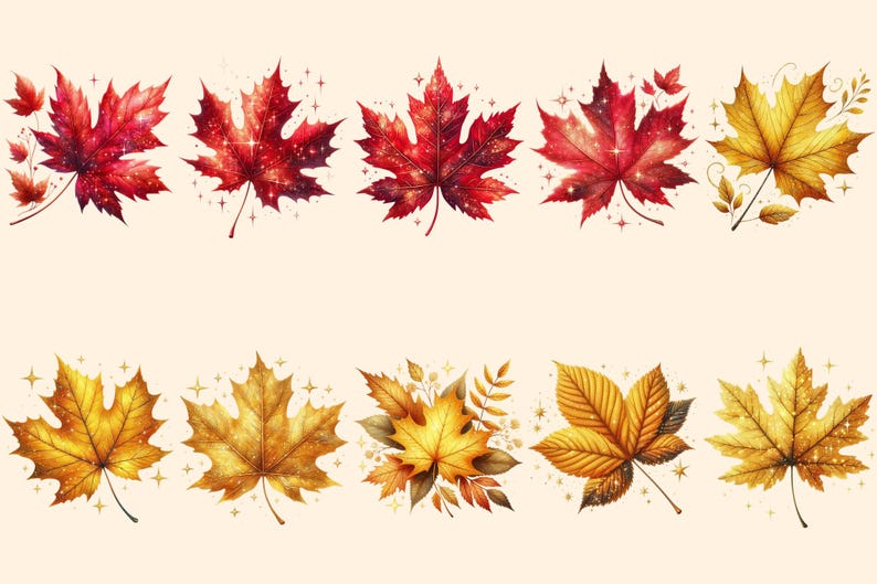 Autumn Leaves PNG Clipart Collection - 52 PNG, Warm seasonal foliage graphics, Autumn leaves art, Commercial use, Digital download