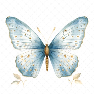 20 High-Quality Blue Gold Butterfly Clipart - Blue butterfly digital watercolor JPG instant download for commercial use - Digital download