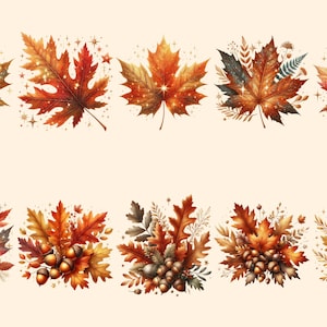 Autumn Leaves PNG Clipart Collection - 52 PNG, Warm seasonal foliage graphics, Autumn leaves art, Commercial use, Digital download
