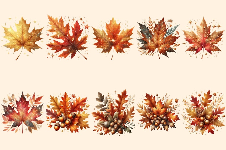 Autumn Leaves PNG Clipart Collection - 52 PNG, Warm seasonal foliage graphics, Autumn leaves art, Commercial use, Digital download