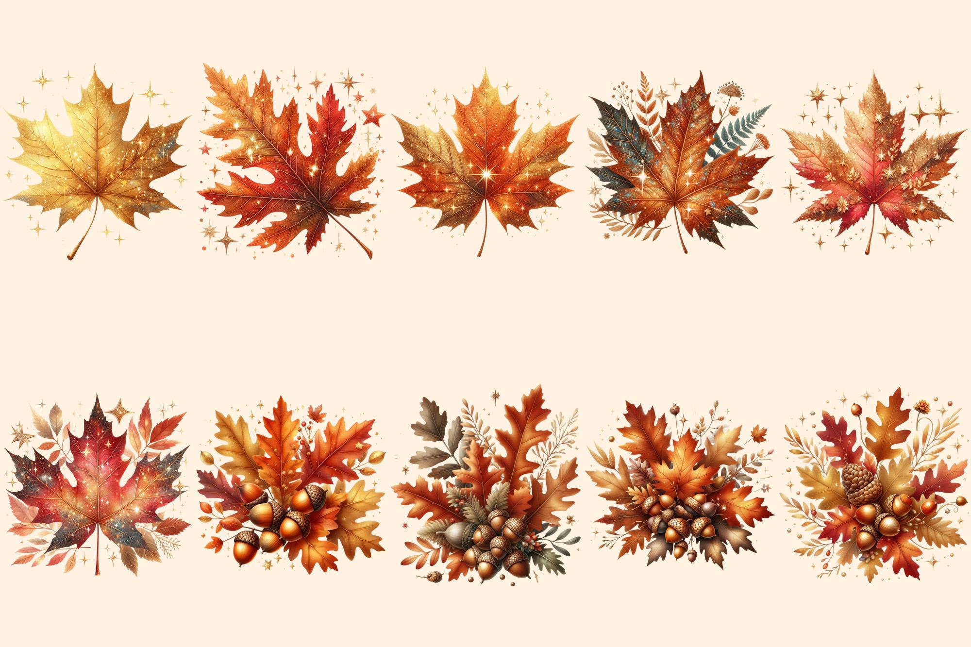 Autumn Leaves PNG Clipart – 52 Warm Foliage Graphics (digital Download ...