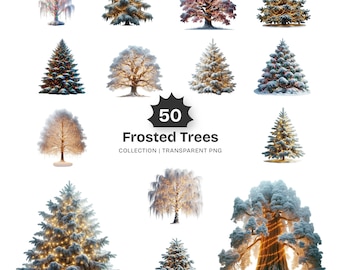 Frosted Trees Clipart Collection – Winter Forest Graphics, Christmas Art (Digital Download)