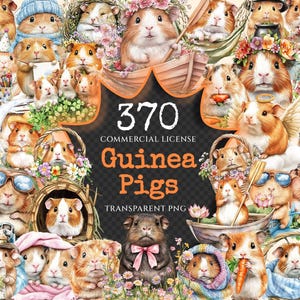 Watercolor Guinea Pig Clipart – 365+ PNG Images (Digital Download)