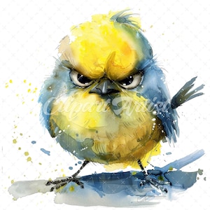 21 High-Quality Cute Grumpy Birds Clipart - Cute grumpy birds digital watercolor JPG instant download for commercial use - Digital download