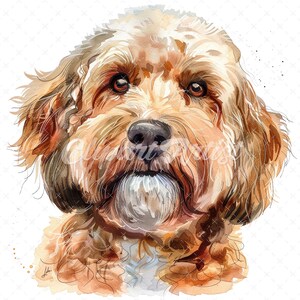 May include: Watercolor painting of a brown and white dog with curly fur. The dog is looking directly at the viewer with its mouth closed. The background is white.