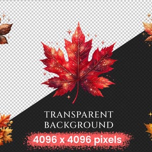Autumn Leaves PNG Clipart Collection - 52 PNG, Warm seasonal foliage graphics, Autumn leaves art, Commercial use, Digital download