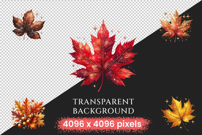 Autumn Leaves PNG Clipart Collection - 52 PNG, Warm seasonal foliage graphics, Autumn leaves art, Commercial use, Digital download