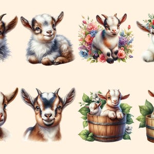 Baby Goats PNG Clipart Collection - 38 PNG, Charming goat illustrations, Farmyard art printables, Commercial use, Digital download