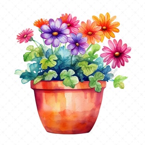 May include: A watercolor painting of a terracotta flower pot with a variety of colorful flowers. The flowers are purple, pink, orange, and yellow. The pot is sitting on a white background.