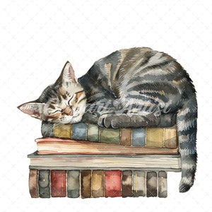 20 High-Quality Cat Sleeping On Books Clipart - Cat sleeping digital watercolor JPG instant download for commercial use - Digital download