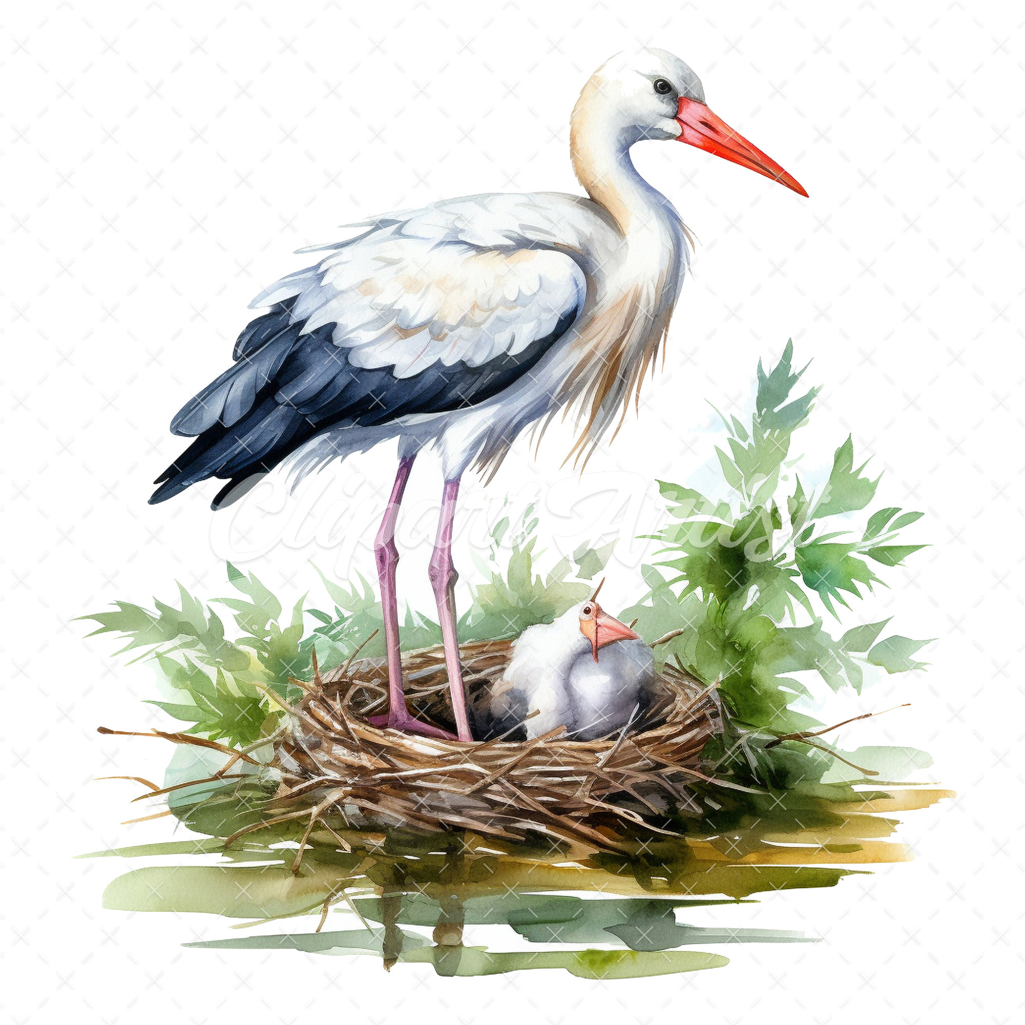 20 Highquality Stork Nest Clipart Stork Birds Digital Etsy
