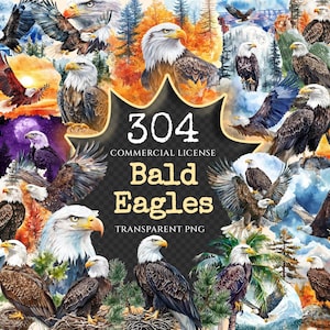 Bald Eagles Watercolor Clipart Bundle - 301+ transparent PNG, Wild eagle illustrations, Patriotic wildlife, Commercial use, Digital download