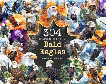 Bald Eagle Watercolor Clipart Bundle – Patriotic Wildlife PNG (Digital Download)