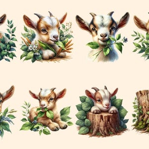 Baby Goats PNG Clipart Collection - 38 PNG, Charming goat illustrations, Farmyard art printables, Commercial use, Digital download