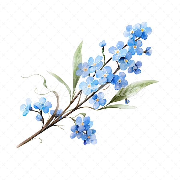 20 High-Quality Forget Me Not Clipart - Forget me not digital watercolor JPG instant download for commercial use - Digital download