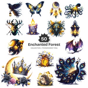 Może przedstawiać: Kolekcja 50 przezroczystych obrazów PNG w tematyce Enchanted Forest. Obrazy obejmują kruka z latarnią, motyla, łapacza snów, ośmiornicę, chrząszcza, świecę, czaszkę ptaka, latarnię, rybę, nietoperza, koronę, słoik, jeża i pawia.