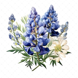 17 High-Quality Floral Bluebonnet Clipart - Bluebonnet digital watercolor JPG instant download for commercial use - Digital download