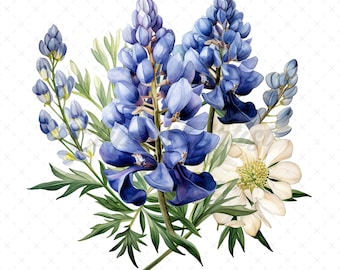 May include: A watercolor painting of a bouquet of blue lupine flowers and a single white daisy. The flowers are arranged in a loose, natural style, with the lupine flowers in the center and the daisy on the right side. The background is white.