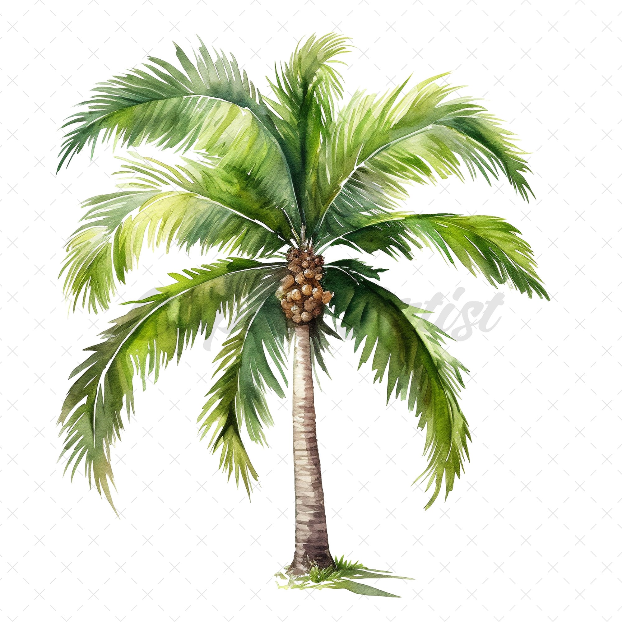 22 High-quality Palm Trees Clipart Palm Trees Digital Watercolor JPG ...