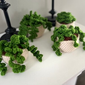Handmade Crochet Potted Plants, Soft Amigurumi Succulents, Whimsical Home Decor, Unique Gift, Plant Lover Decor
