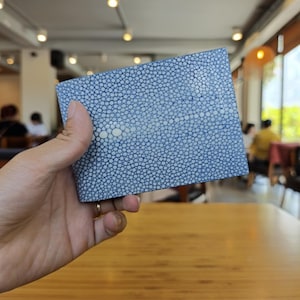 May include: A blue wallet with a distinctive textured surface, held in a hand. The wallet's surface is covered in small, closely packed, white and blue dots, creating a unique pattern. The wallet appears to be made of a durable material.