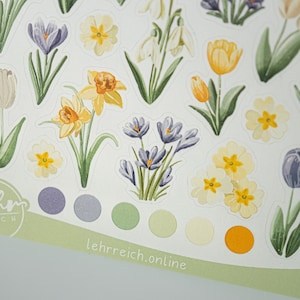 Hallo Frühling! Spring Tulips & Flowers  | Sticker Sheet