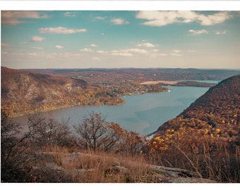 Autumn Whispers - Hudson River Nature's Fall Palette in Sunlight - Botanical Photography Print Modern Wall Art - Upstate New York