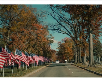 Patriotic Passage - American Flags Lining a Fall Road - Seasonal Landscape Photography Print Wall Art Decor Poster