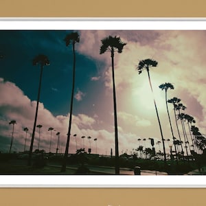 Venice Beach Sunset Art Print: Sunkissed Palm Silhouettes & Colorful Sky - Pink Yellow Sepia Hues for Vibrant Room Accents