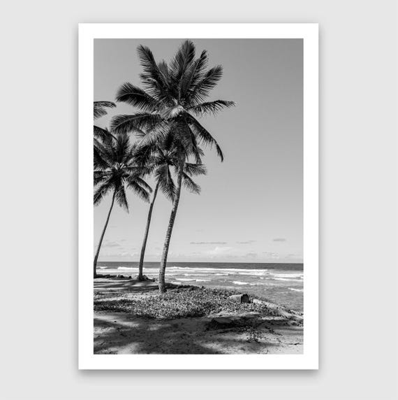 Fine Art print - Tropical Palm Trees Wall Art, Black and White, Coastal Decor, Beach House, Black White Fine Art Photography