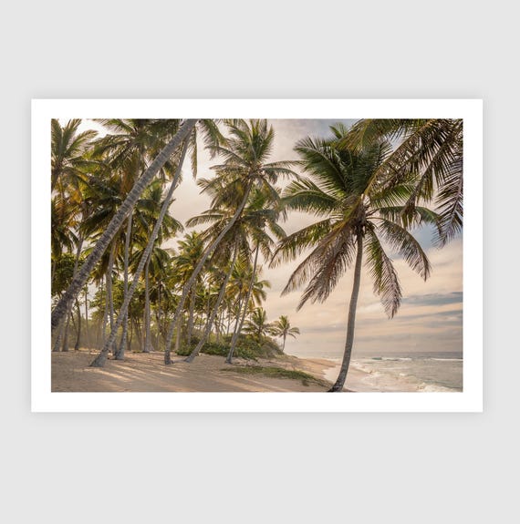 Fine Art Print Coastal Palm Trees Beach - Tropical Sunset, Island Travel Ocean Wall Art Home Wall Decor, Gift for her, Boho Decor Photograph