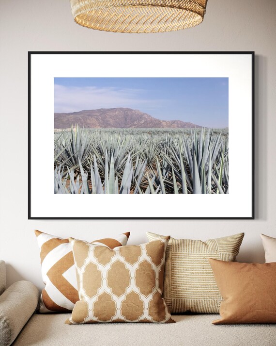 Campo de Agave en Jalisco - Impresión de Arte de Pared de la Naturaleza Mexicana Inmersiva - Decoración Moderna de México - Póster