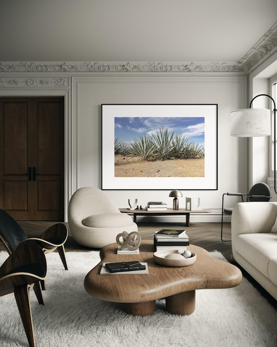 Fine Art Print - Jalisco Agave Field Poster,  Blue Agave Tequila Decor, Jalisco Wall Art, Jalisco Travel Photo, Mexico Poster, Mexico Print