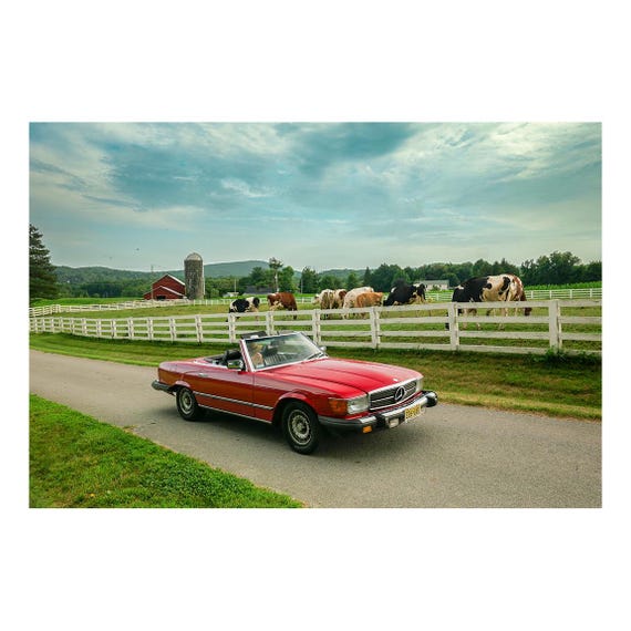 Fine Art Print - Classic Red Mercedes in the countryside by Cows and Farm Road wall art, 380Sl, 450SL, 560SL, 107SL, Vintage, barn decor
