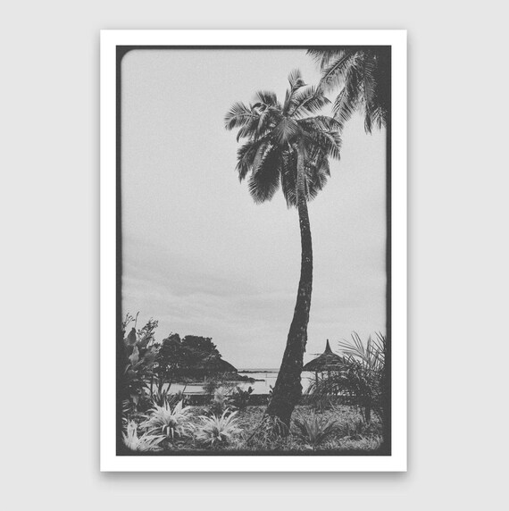 Fine Art Print - Vintage Palm tree Wall Art, Coastal and tropical beach Decor, giclee wall art