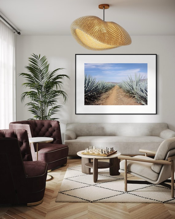 Fine Art Print - Colorful Agave Print, Jalisco Mexico Landscape Wall Art, Scenic Nature , Jalisco Mexico Modern Decor Landscape Poster