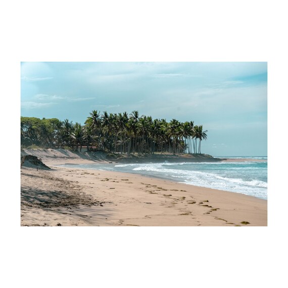 Fine Art Print - Tropical Palm Trees Beach - Coastal Decor, Travel, Ocean, Home Wall Decor, Beach House Coastal Decor, Summer, Gift