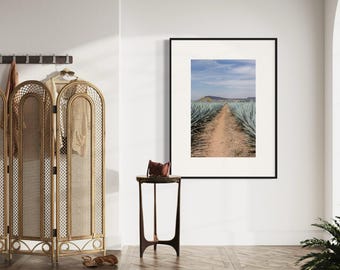 Agave Highway Fine Art Print – Jalisco Mexico Landscape Nature Wall Art Poster