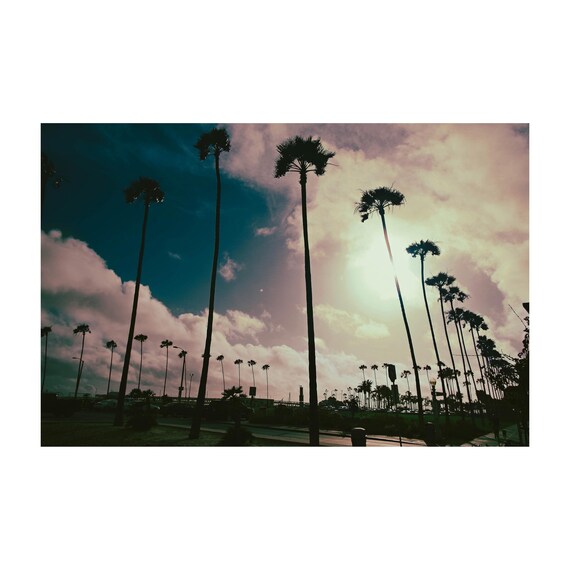 Fine Art Print - Venice Beach Sunset Art Print: Sunkissed Palm Silhouettes
