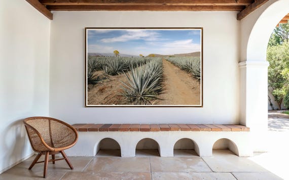 Fine Art Print - Blue Agave Field, Jalisco Mexico Wall Art, Tequila Bar Decor, Mexican Landscape, Art Deco, Rustic Decor, Gil Stunner