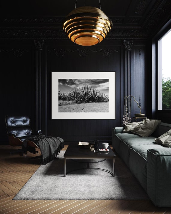Fine Art Monochrome Agave Field Art Print, Landscape Wall Art Jalisco Mexico, Black and White Home Decor, Rustic Farmhouse Poster