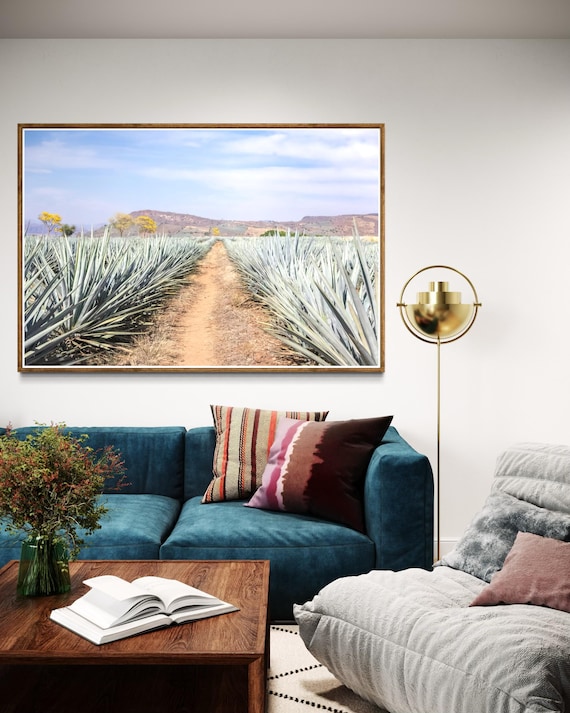 Jalisco Mexico Wall Art Print - Immersive Agave Tequila Field Landscape Print - Vibrant Mexican Nature Wall Art Modern Decor - Tropical Art