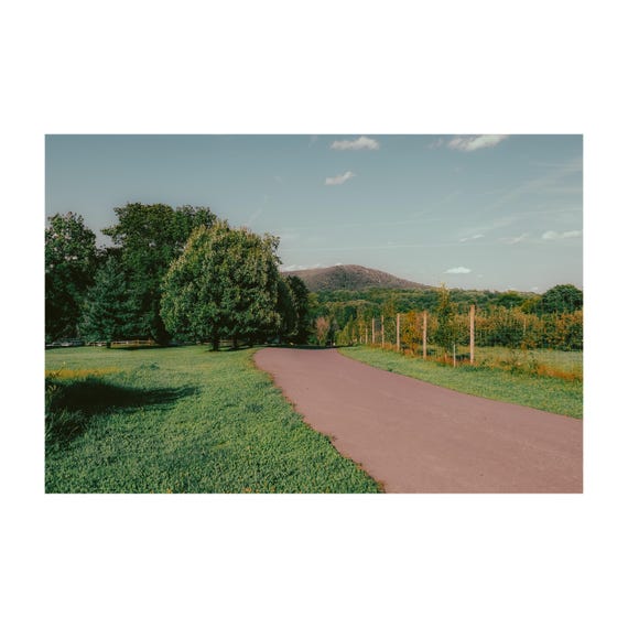 Fine Art print - Winery Road Landscape Wall Art, Landscape Nature Photo, Upstate New York Perfect for Farmhouse or Dining Room Decor, gift