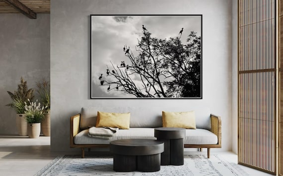 Fine Art Print - Black and White Bird Duck Silhouette Wall Art, Tree Branches landscape decor,  minimalist decor, nature lovers gift, modern