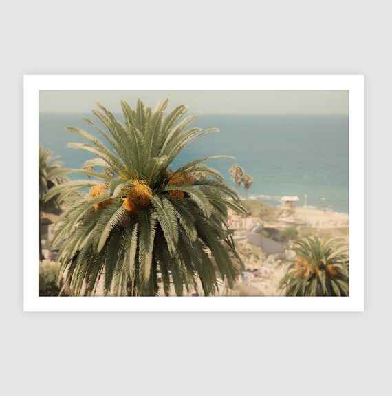 Fine Art  Print - Coastal Decor, Palm Tree Ocean View, Pastel Colors, California, La JOlla, San Diego, Coronado, Home Decor by Gil Stunner